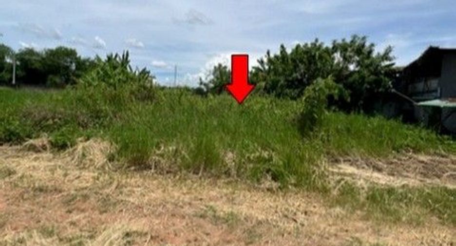 For sale land in Samoeng, Chiang Mai