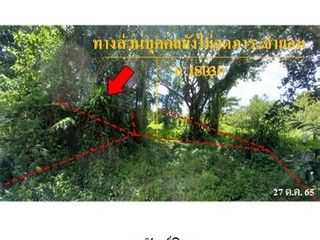 出售 土地 在 Samoeng, Chiang Mai