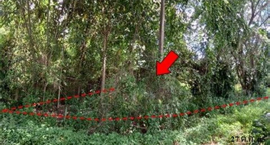 For sale land in Samoeng, Chiang Mai