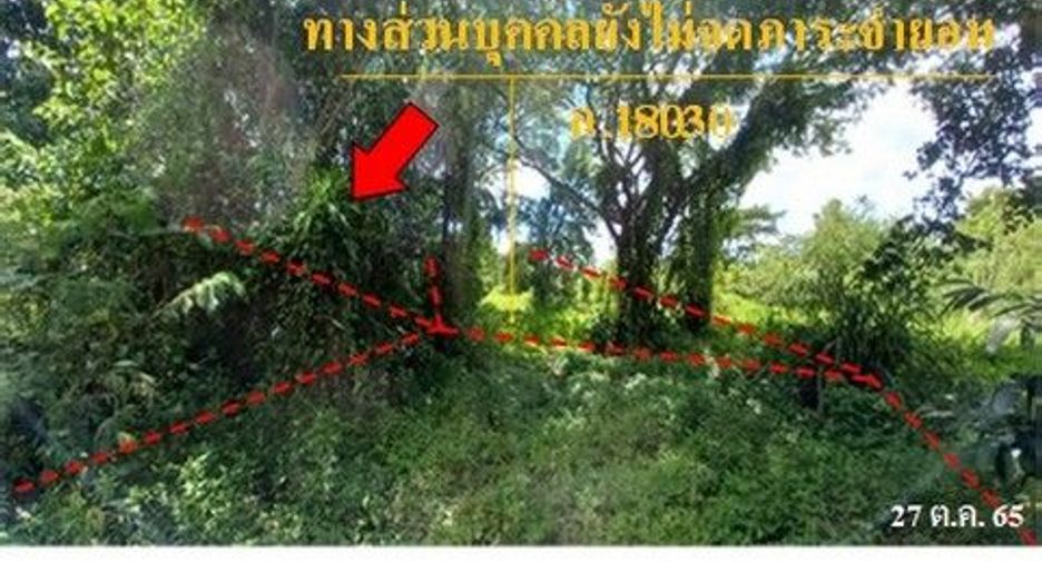 For sale land in Samoeng, Chiang Mai