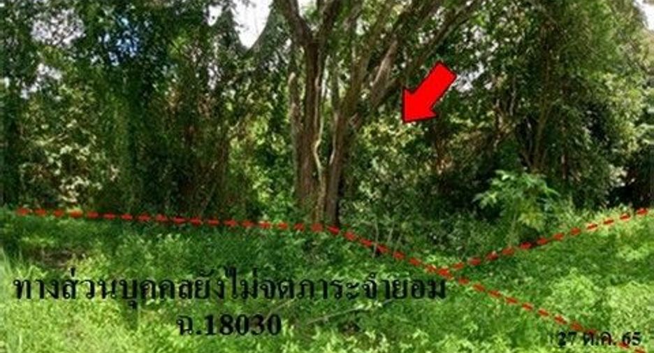 For sale land in Samoeng, Chiang Mai