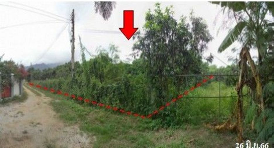 For sale land in Samoeng, Chiang Mai