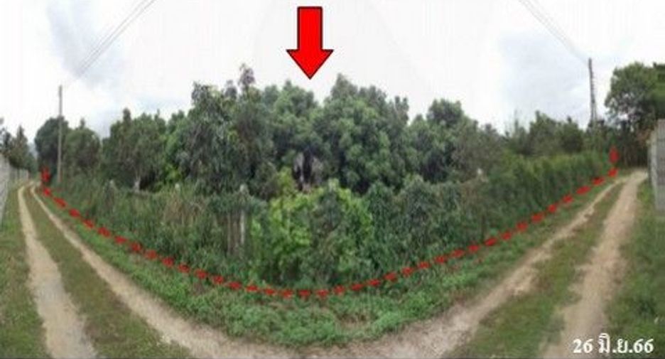 For sale land in Samoeng, Chiang Mai