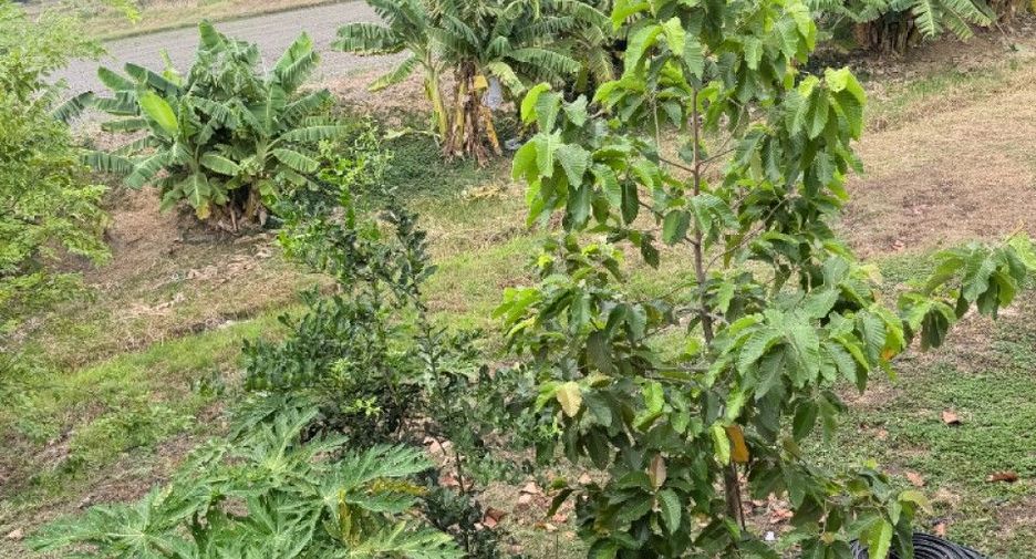 For sale 2 bedrooms house in Ongkharak, Nakhon Nayok