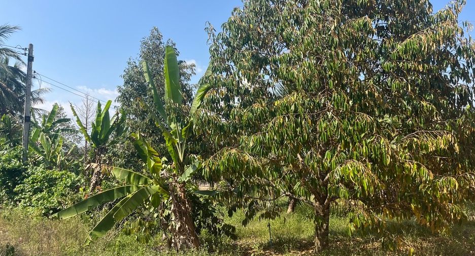 For sale land in Thai Mueang, Phang Nga