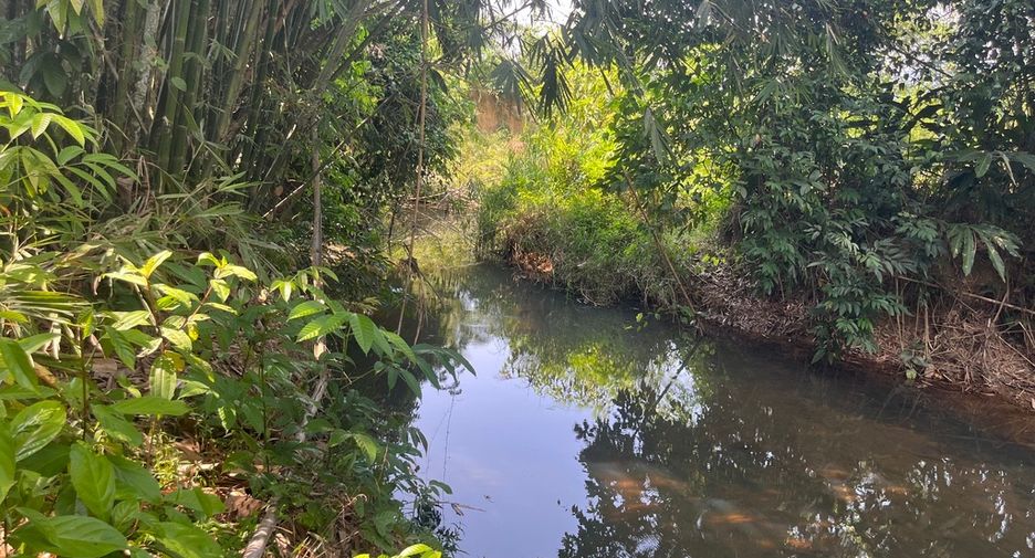 For sale land in Thai Mueang, Phang Nga