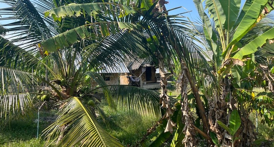 For sale land in Thai Mueang, Phang Nga