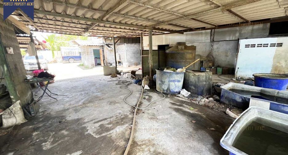 À vendre entrepôt à Mueang Samut Prakan, Samut Prakan