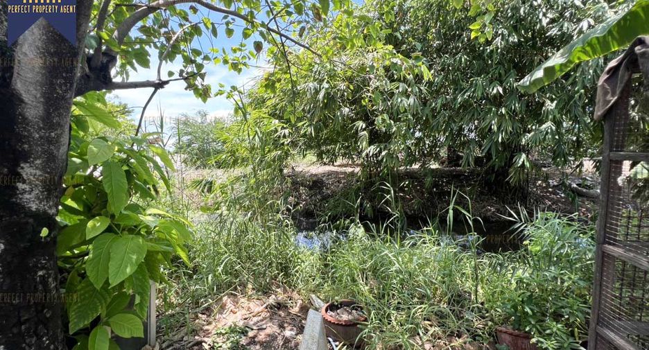 À vendre entrepôt à Mueang Samut Prakan, Samut Prakan
