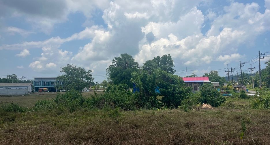 ขาย ที่ดิน ใน ตะกั่วทุ่ง, พังงา