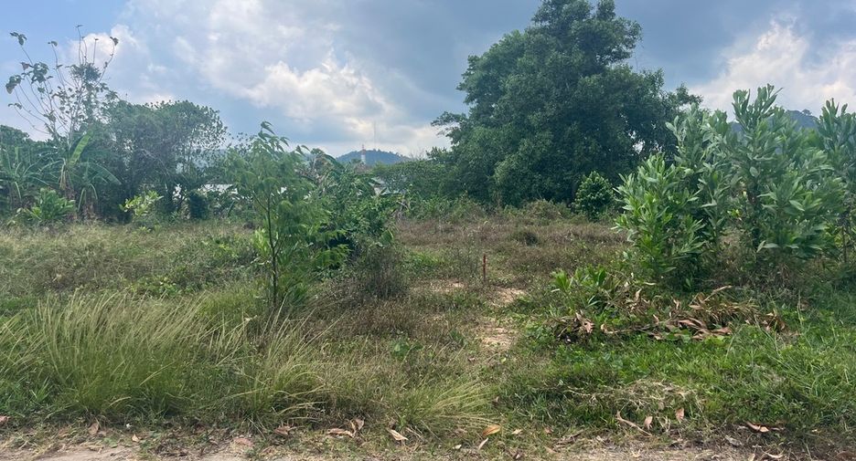 ขาย ที่ดิน ใน ตะกั่วทุ่ง, พังงา