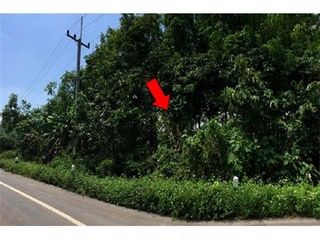 ขาย ที่ดิน ใน เมืองเชียงราย, เชียงราย