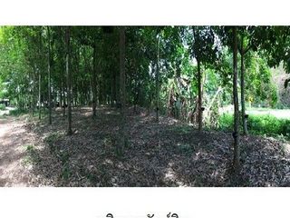 ขาย ที่ดิน ใน เมืองเชียงราย, เชียงราย
