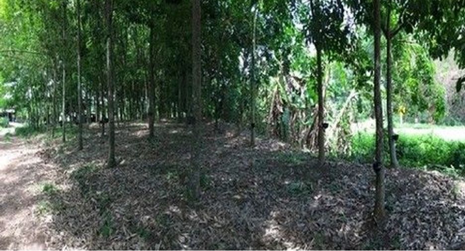 出售 土地 在 Mueang Chiang Rai, Chiang Rai