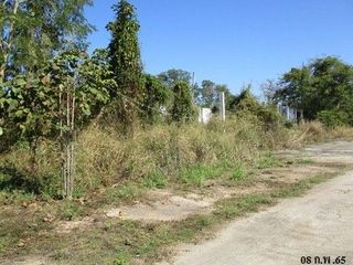 出售 土地 在 Samoeng, Chiang Mai