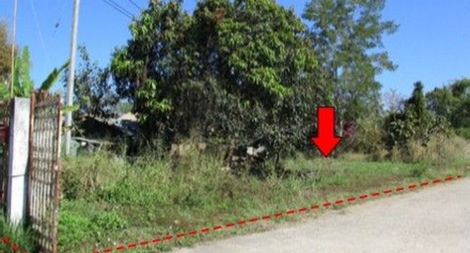 For sale land in Samoeng, Chiang Mai