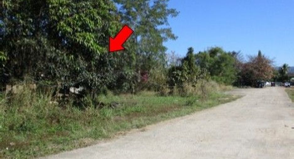 For sale land in Samoeng, Chiang Mai