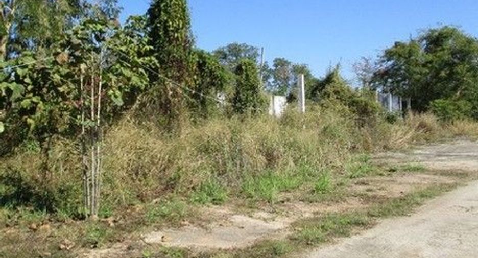 For sale land in Samoeng, Chiang Mai