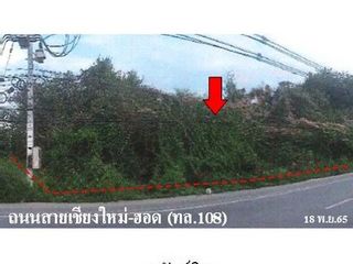 出售 土地 在 Samoeng, Chiang Mai