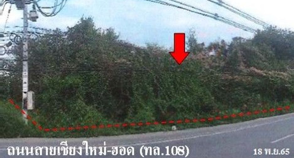 For sale land in Samoeng, Chiang Mai