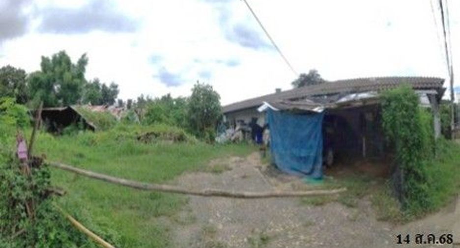 For sale land in Samoeng, Chiang Mai