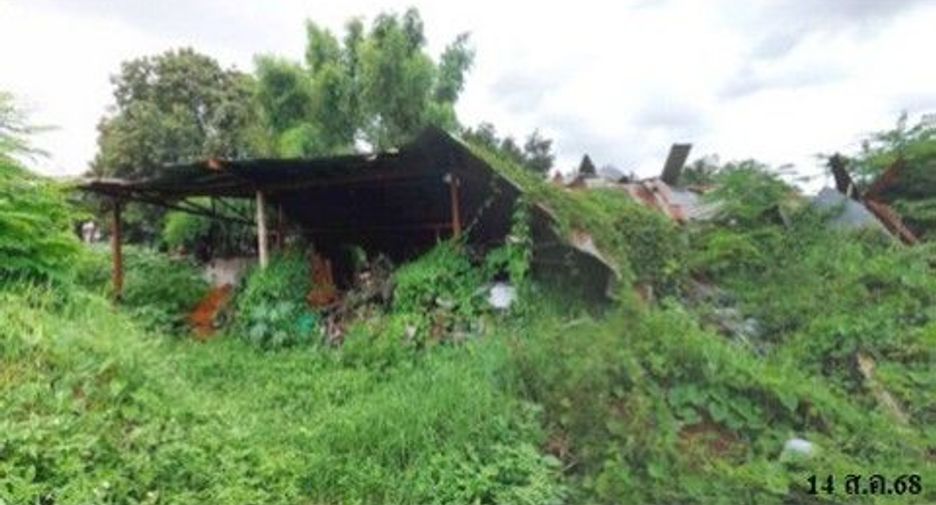 For sale land in Samoeng, Chiang Mai