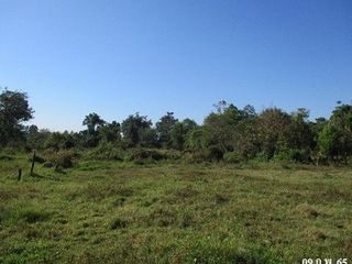 出售 土地 在 Samoeng, Chiang Mai
