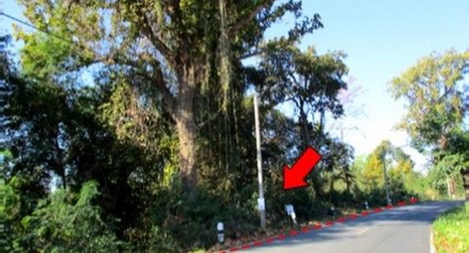 For sale land in Samoeng, Chiang Mai