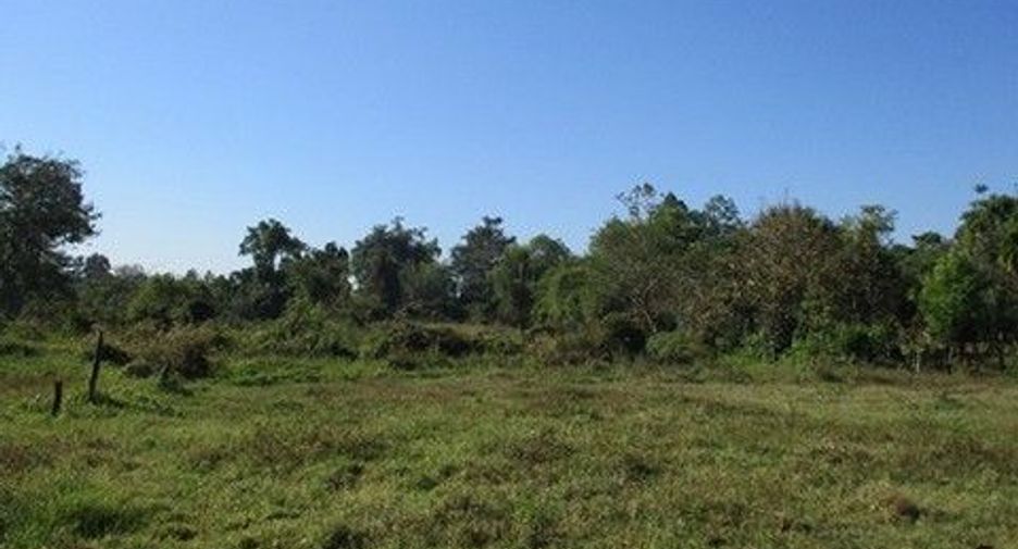 For sale land in Samoeng, Chiang Mai