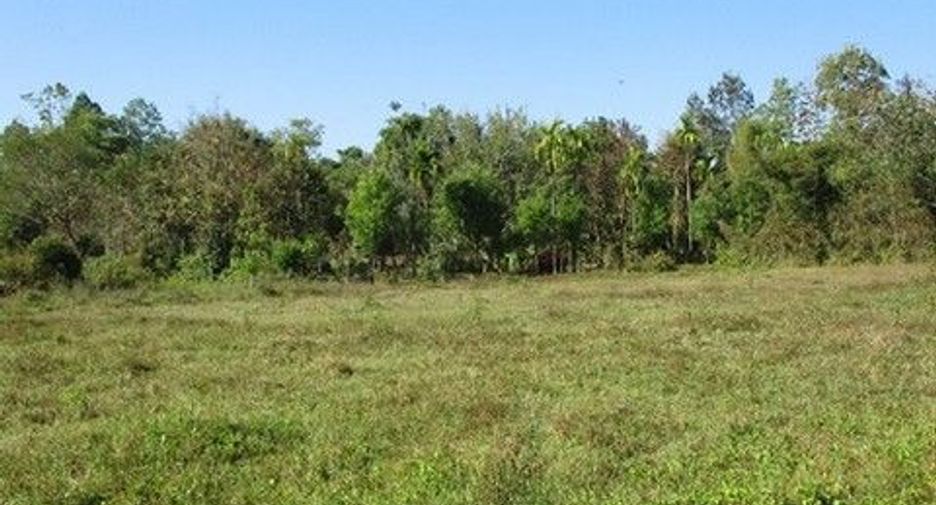 For sale land in Samoeng, Chiang Mai
