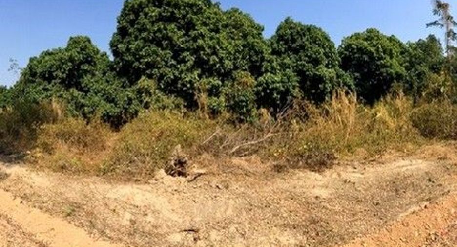 For sale land in Samoeng, Chiang Mai
