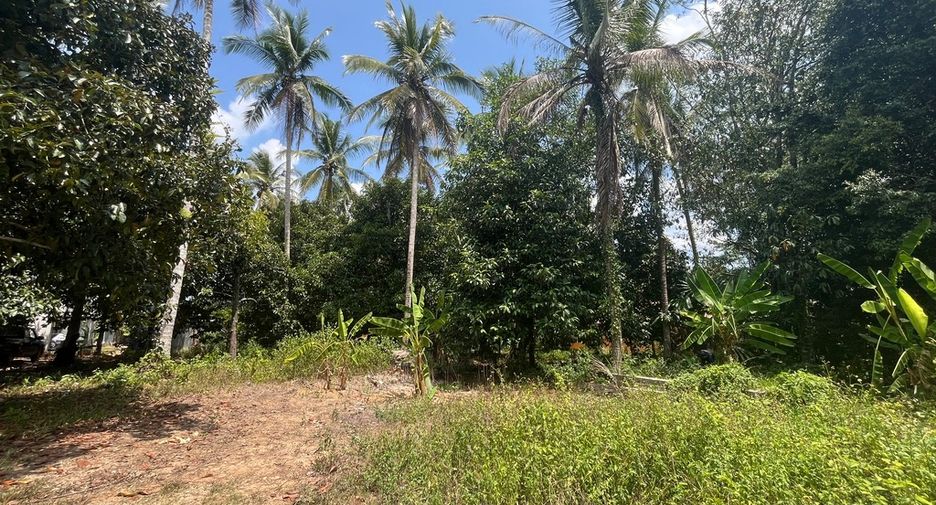 À vendre terrain à Takua Thung, Phang Nga