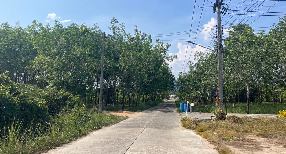 出售 土地 在 Takua Thung, Phangnga