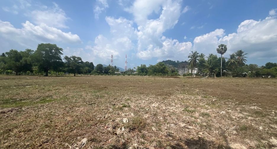 ขาย ที่ดิน ใน ตะกั่วทุ่ง, พังงา