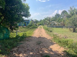 ขาย ที่ดิน ใน ตะกั่วทุ่ง, พังงา
