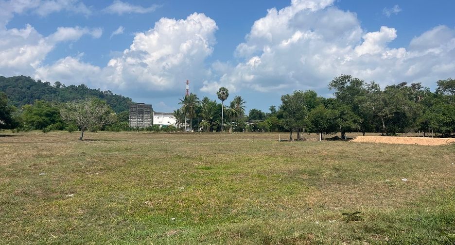 ขาย ที่ดิน ใน ตะกั่วทุ่ง, พังงา