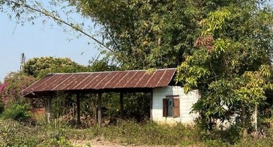For sale 1 bed warehouse in Samoeng, Chiang Mai