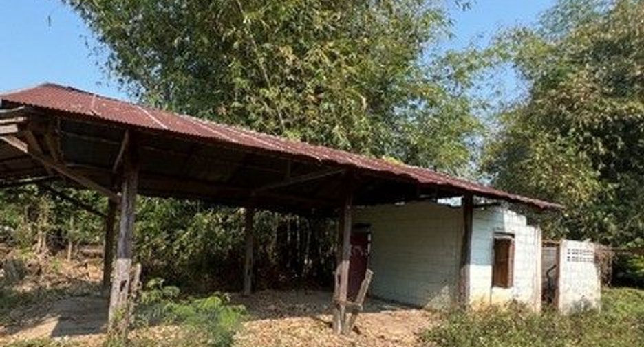For sale 1 bed warehouse in Samoeng, Chiang Mai