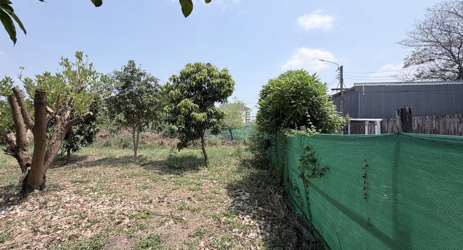For sale land in Chatuchak, Bangkok