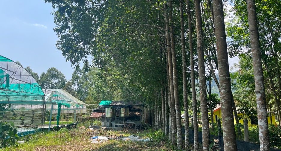 À vendre terrain à Takua Thung, Phang Nga