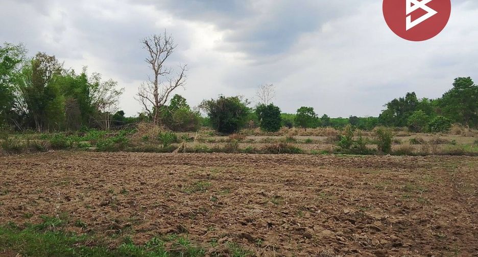 For sale land in Phon Phisai, Nong Khai