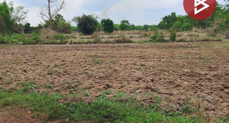 For sale land in Phon Phisai, Nong Khai