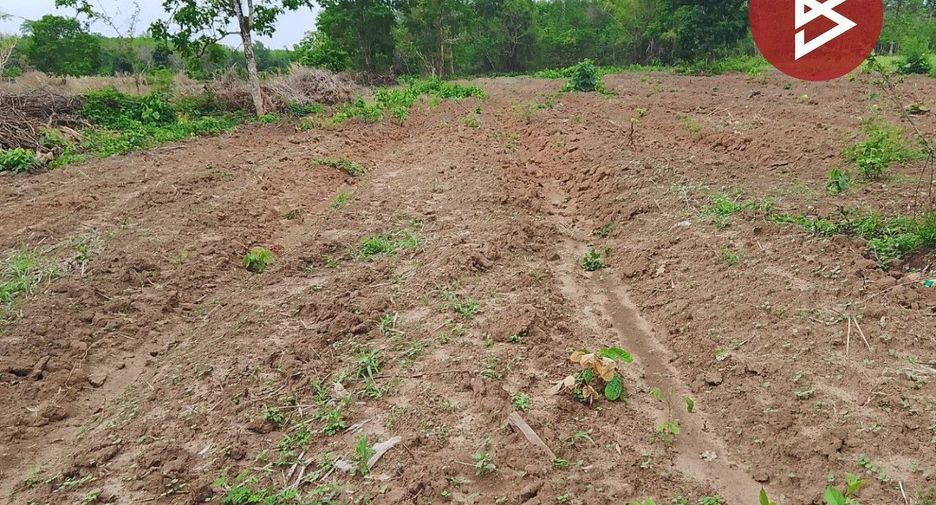 For sale land in Phon Phisai, Nong Khai