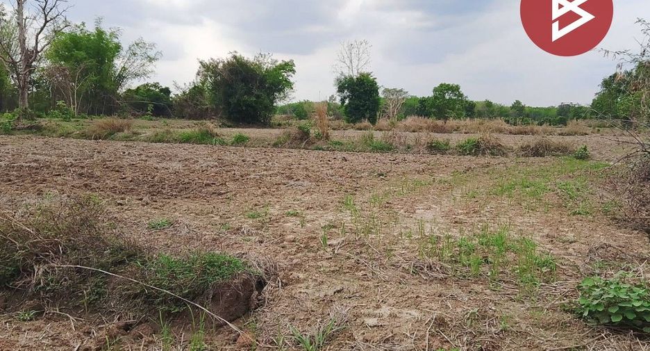 For sale land in Phon Phisai, Nong Khai