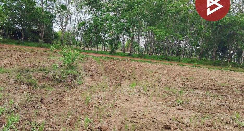 For sale land in Phon Phisai, Nong Khai