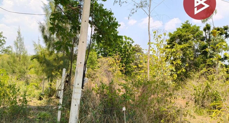 For sale land in Ban Kha, Ratchaburi
