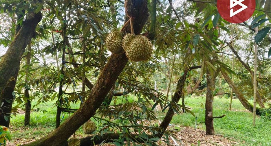 Terreno en venta en Khao Khitchakut, Chanthaburi