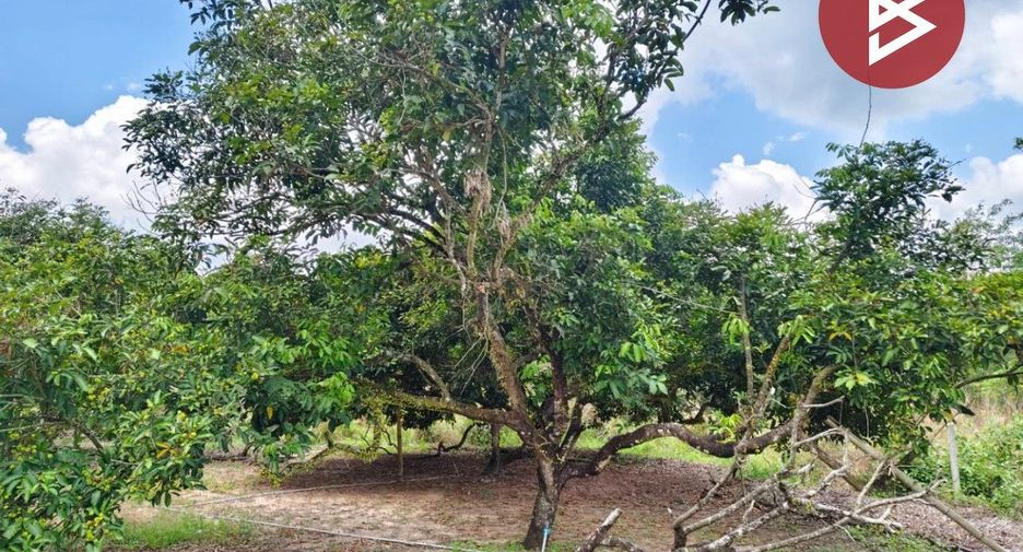 Terreno en venta en Khao Khitchakut, Chanthaburi