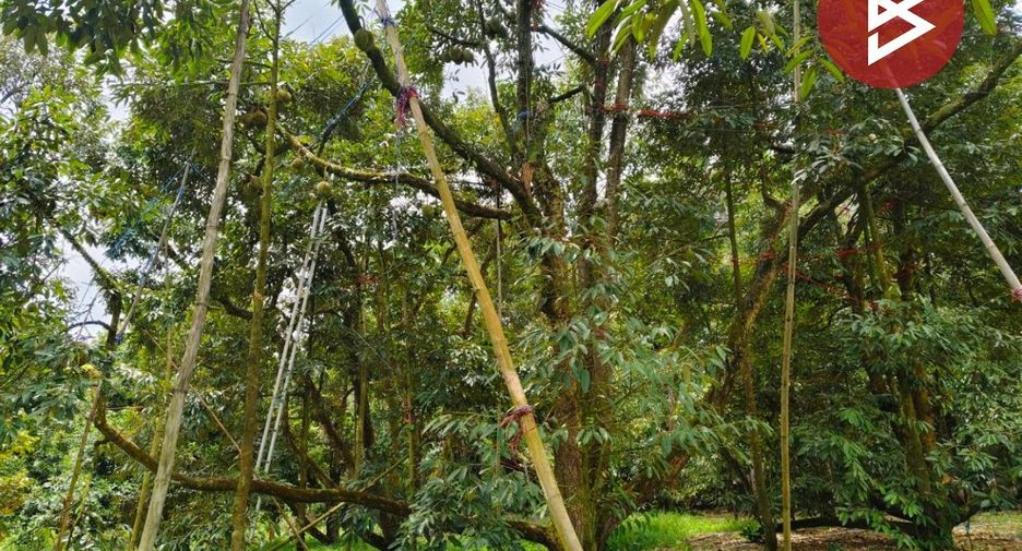 Terreno en venta en Khao Khitchakut, Chanthaburi