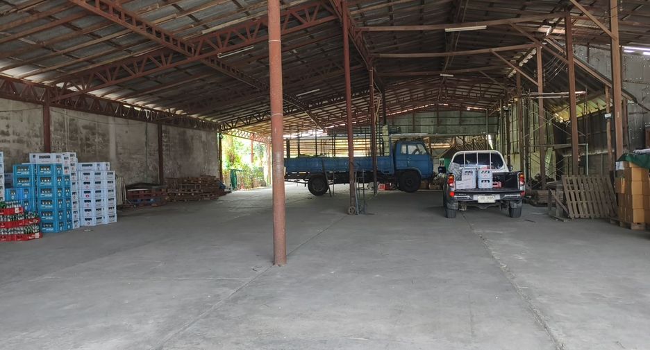 For sale land in Doi Lo, Chiang Mai